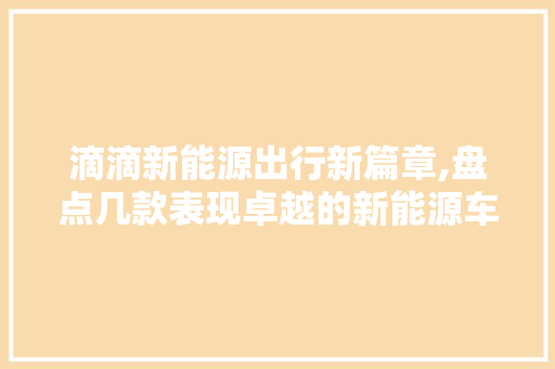 滴滴新能源出行新篇章,盘点几款表现卓越的新能源车型 车载导航