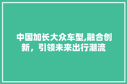 中国加长大众车型,融合创新，引领未来出行潮流