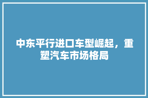 中东平行进口车型崛起，重塑汽车市场格局
