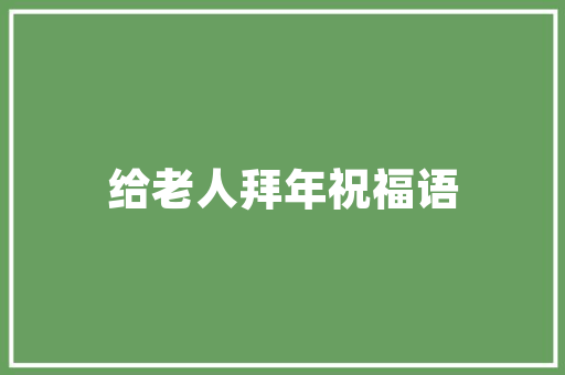 汽车车型分类分析,探寻多样化的出行选择 汽车保养