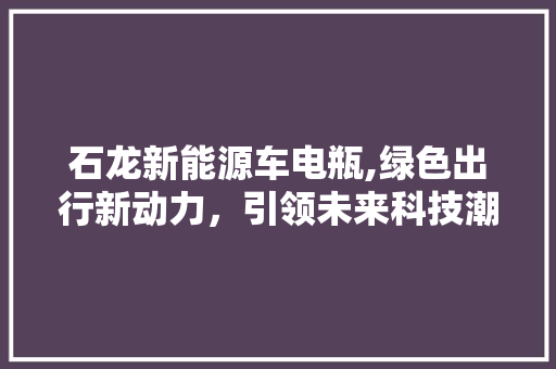 石龙新能源车电瓶,绿色出行新动力，引领未来科技潮流 自动驾驶