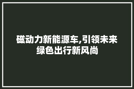 磁动力新能源车,引领未来绿色出行新风尚