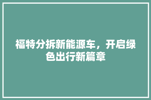 福特分拆新能源车，开启绿色出行新篇章