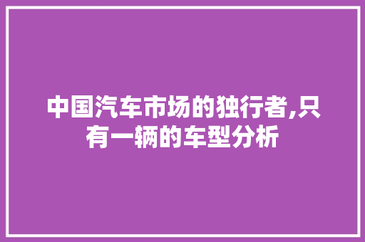 中国汽车市场的独行者,只有一辆的车型分析