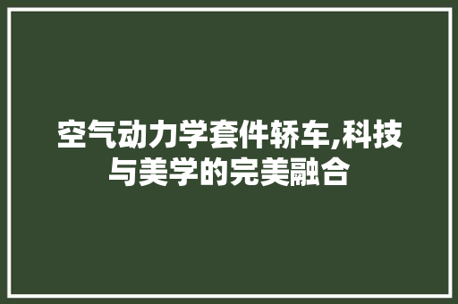 空气动力学套件轿车,科技与美学的完美融合