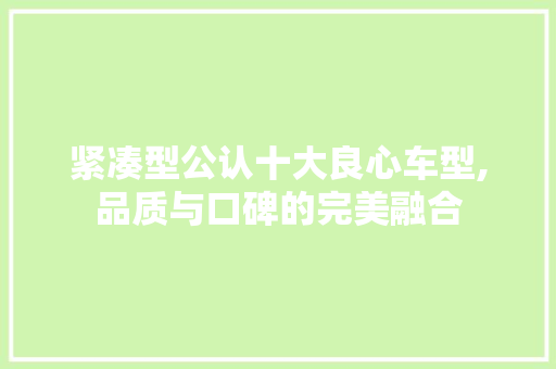 紧凑型公认十大良心车型,品质与口碑的完美融合 汽车轮胎