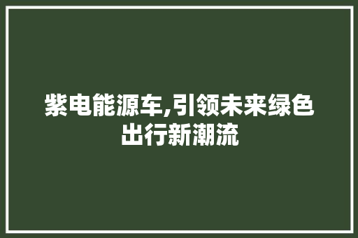紫电能源车,引领未来绿色出行新潮流