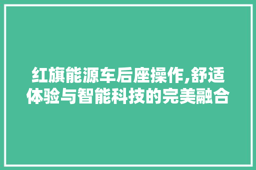 红旗能源车后座操作,舒适体验与智能科技的完美融合 车型评测