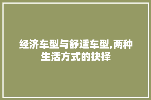 经济车型与舒适车型,两种生活方式的抉择