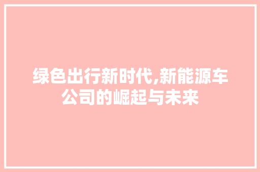 绿色出行新时代,新能源车公司的崛起与未来 车载导航