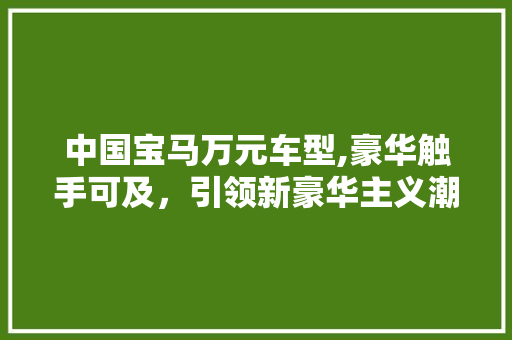 中国宝马万元车型,豪华触手可及，引领新豪华主义潮流