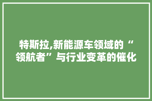 特斯拉,新能源车领域的“领航者”与行业变革的催化剂 汽车轮胎