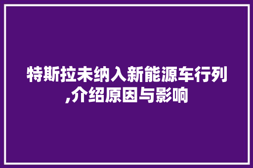 特斯拉未纳入新能源车行列,介绍原因与影响 汽车轮胎