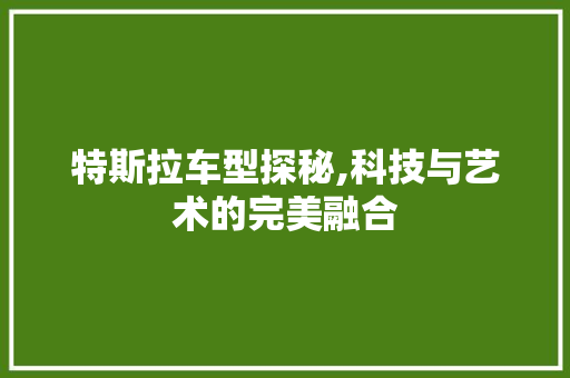 特斯拉车型探秘,科技与艺术的完美融合 汽车配件