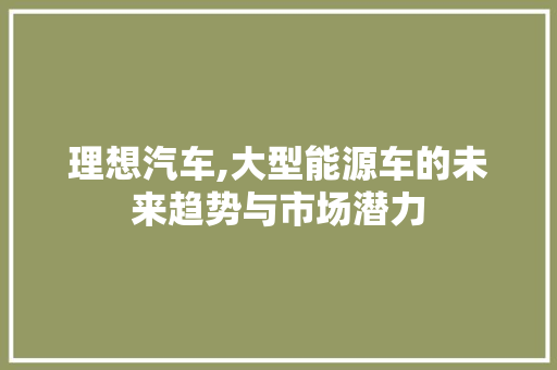 理想汽车,大型能源车的未来趋势与市场潜力