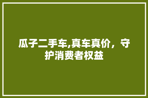 瓜子二手车,真车真价，守护消费者权益 车型评测