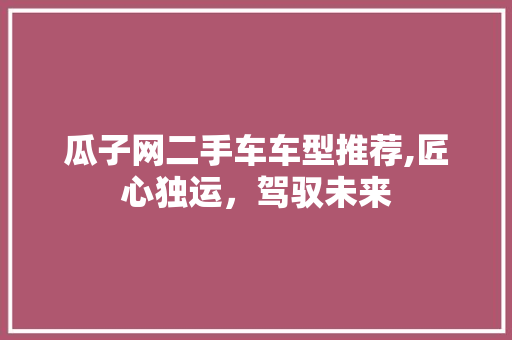 瓜子网二手车车型推荐,匠心独运，驾驭未来