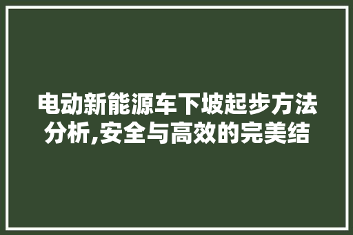 电动新能源车下坡起步方法分析,安全与高效的完美结合
