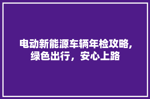 电动新能源车辆年检攻略,绿色出行，安心上路