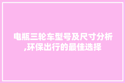 电瓶三轮车型号及尺寸分析,环保出行的最佳选择