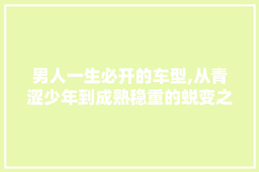 男人一生必开的车型,从青涩少年到成熟稳重的蜕变之旅