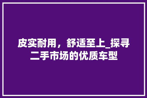 皮实耐用，舒适至上_探寻二手市场的优质车型