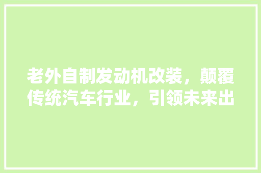 老外自制发动机改装，颠覆传统汽车行业，引领未来出行潮流
