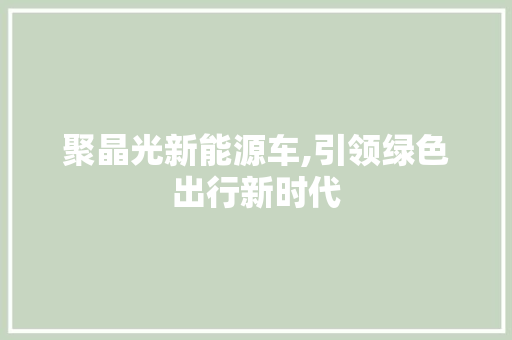 聚晶光新能源车,引领绿色出行新时代