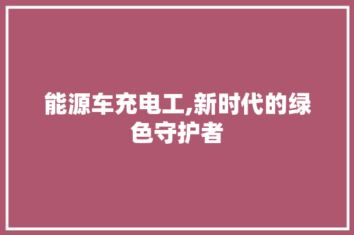 能源车充电工,新时代的绿色守护者 汽车展览