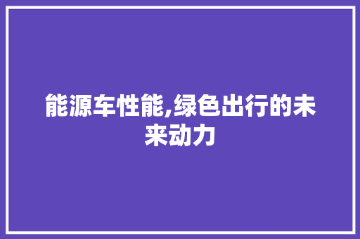 能源车性能,绿色出行的未来动力 车载导航