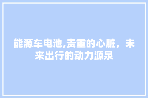 能源车电池,贵重的心脏，未来出行的动力源泉 智能驾驶
