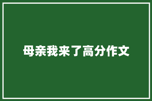 能源车约谈,政策引导下的行业调整与未来展望 车载导航