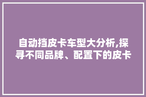 自动挡皮卡车型大分析,探寻不同品牌、配置下的皮卡世界