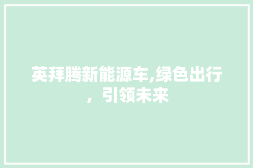 英拜腾新能源车,绿色出行，引领未来