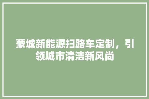 蒙城新能源扫路车定制，引领城市清洁新风尚