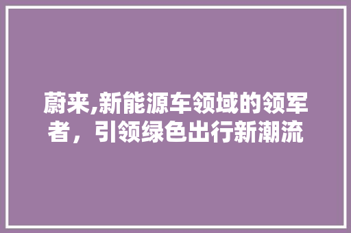 蔚来,新能源车领域的领军者，引领绿色出行新潮流
