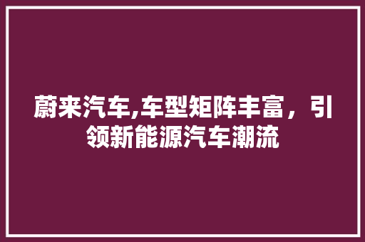 蔚来汽车,车型矩阵丰富，引领新能源汽车潮流