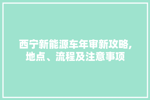 西宁新能源车年审新攻略,地点、流程及注意事项