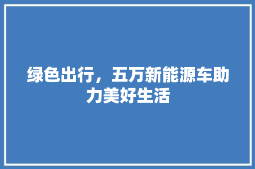 绿色出行，五万新能源车助力美好生活 车载导航