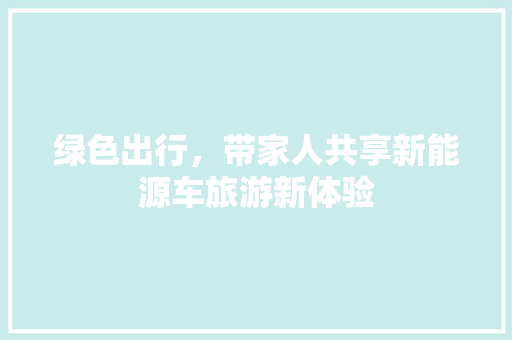 绿色出行，带家人共享新能源车旅游新体验 智能驾驶