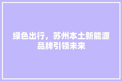 绿色出行，苏州本土新能源品牌引领未来 车载导航