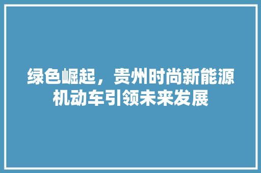 绿色崛起，贵州时尚新能源机动车引领未来发展