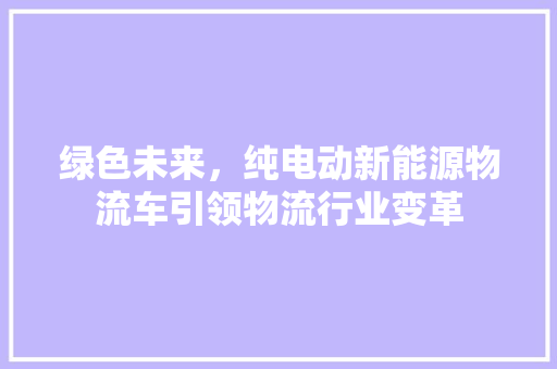 绿色未来，纯电动新能源物流车引领物流行业变革 车型评测