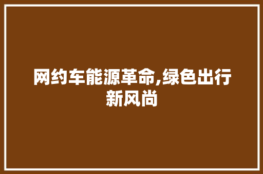 网约车能源革命,绿色出行新风尚
