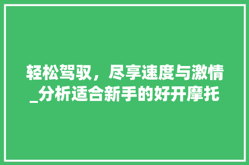 轻松驾驭，尽享速度与激情_分析适合新手的好开摩托车车型 车载导航