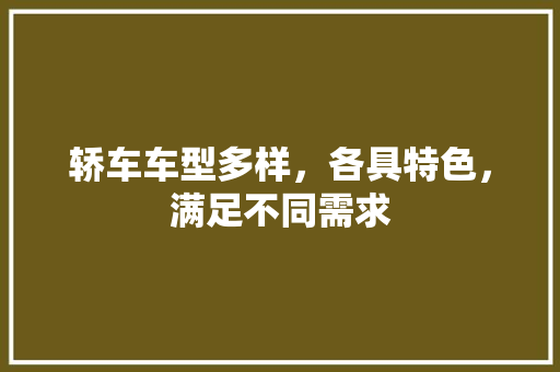轿车车型多样，各具特色，满足不同需求