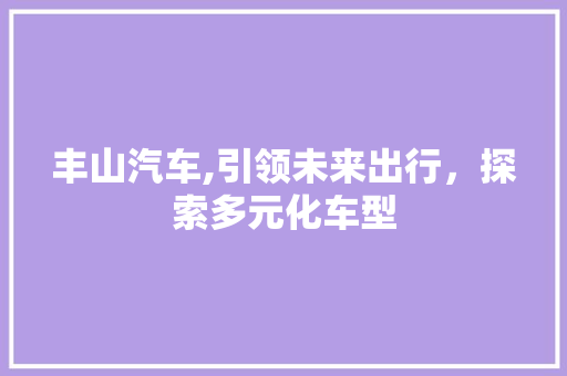 丰山汽车,引领未来出行，探索多元化车型