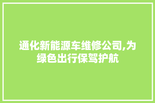 通化新能源车维修公司,为绿色出行保驾护航 汽车展览