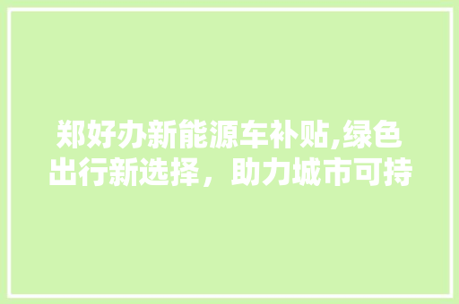 郑好办新能源车补贴,绿色出行新选择，助力城市可持续发展