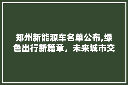 郑州新能源车名单公布,绿色出行新篇章，未来城市交通新格局